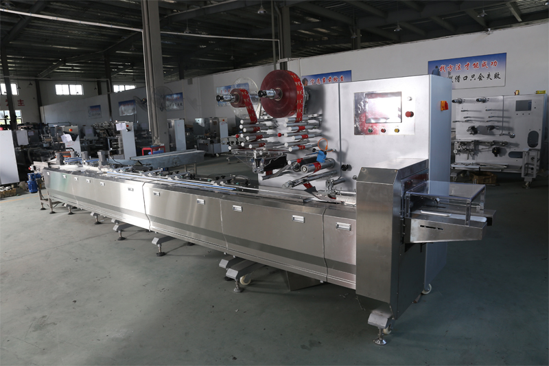 Automatic Feeding Pillow Packing Machine JY-L1000